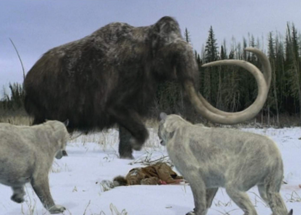 #27. Walking with Prehistoric Beasts (2001)